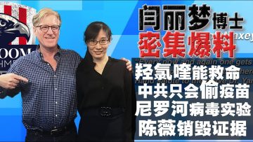 【中英文字幕】閆麗夢博士:羥氯喹雖不是神葯,但是能救命!中共在研發更可怕的病毒!陳薇去武漢就是為了銷毀證據!