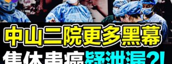 [ID: LVDulL-0M6Q] Youtube Automatic