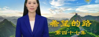 [ID: Xj_FErt31Cc] Youtube Automatic