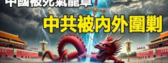 [ID: TykTOpt9Yq4] Youtube Automatic