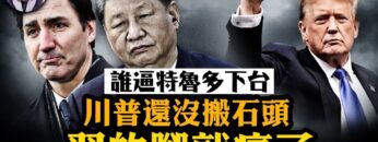 私密：[ID: XPFbgQIzDck] Youtube Automatic