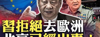 私密：[ID: 33AYFdTRr3o] Youtube Automatic