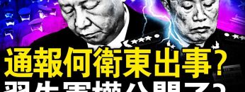 [ID: z9nb4FR4dqc] Youtube Automatic