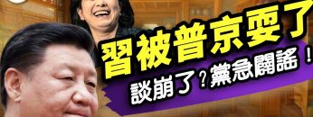 私密：[ID: RuXChAa6Vys] Youtube Automatic