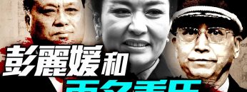 私密：[ID: L9AUwM7ZclY] Youtube Automatic