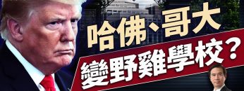 [ID: m4BDbhnA9T0] Youtube Automatic