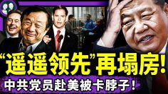 私密：[ID: tWcReCBh7ek] Youtube Automatic