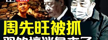 私密：[ID: _XziPm62bqk] Youtube Automatic