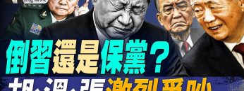 [ID: kGBmippBY2Y] Youtube Automatic