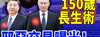 [ID: e54n4q2Givo] Youtube Automatic