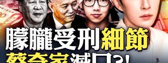 [ID: s-xJvA6bJH0] Youtube Automatic