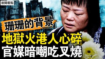 私密：[ID: 4Up6F9zI1MY] Youtube Automatic