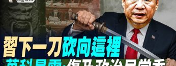 [ID: oZV_llU4WAM] Youtube Automatic