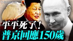 私密：[ID: JP-3ARvM2rE] Youtube Automatic