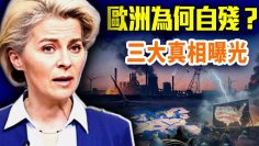 [ID: nau0AkGonMM] Youtube Automatic