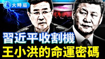 [ID: 73ofpPi8_24] Youtube Automatic