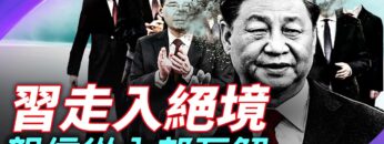 [ID: at1WmqZg7v8] Youtube Automatic