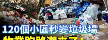 [ID: PhptReRHpHg] Youtube Automatic