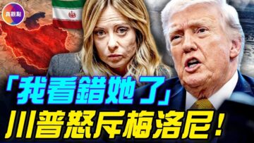 私密：[ID: Qj1ZIxe2HGA] Youtube Automatic