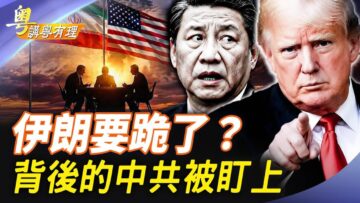 [ID: uZcXS7K0bwI] Youtube Automatic