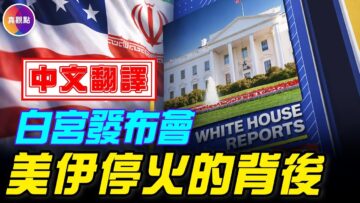 [ID: wB4wVEUGOUQ] Youtube Automatic